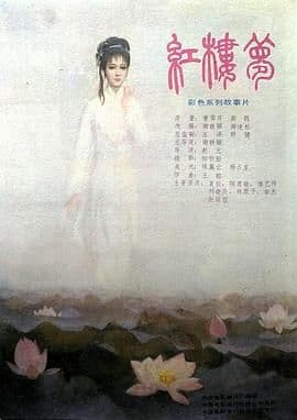 红楼梦第五部：晴雯夭亡海报