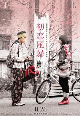初恋风暴海报