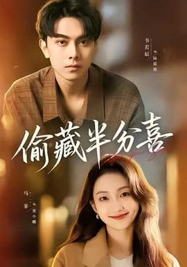 偷藏半分喜海报