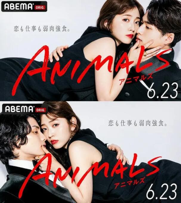 动物 ANIMALS海报