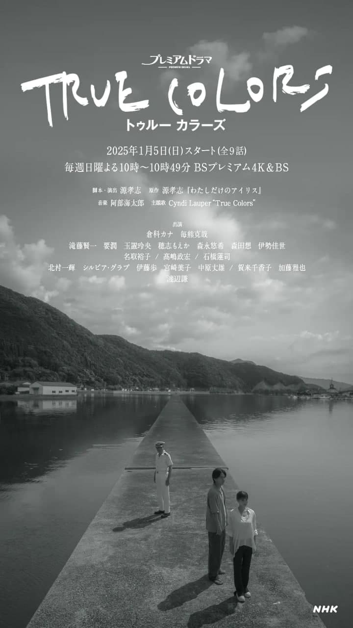 本色 2025海报