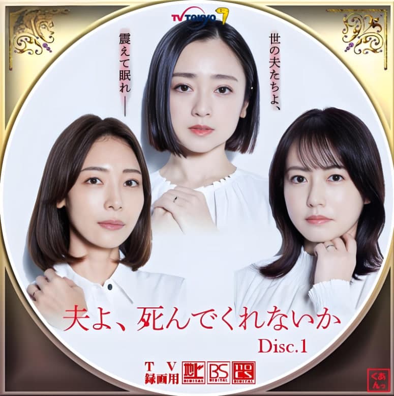 老公啊，你能去死吗海报