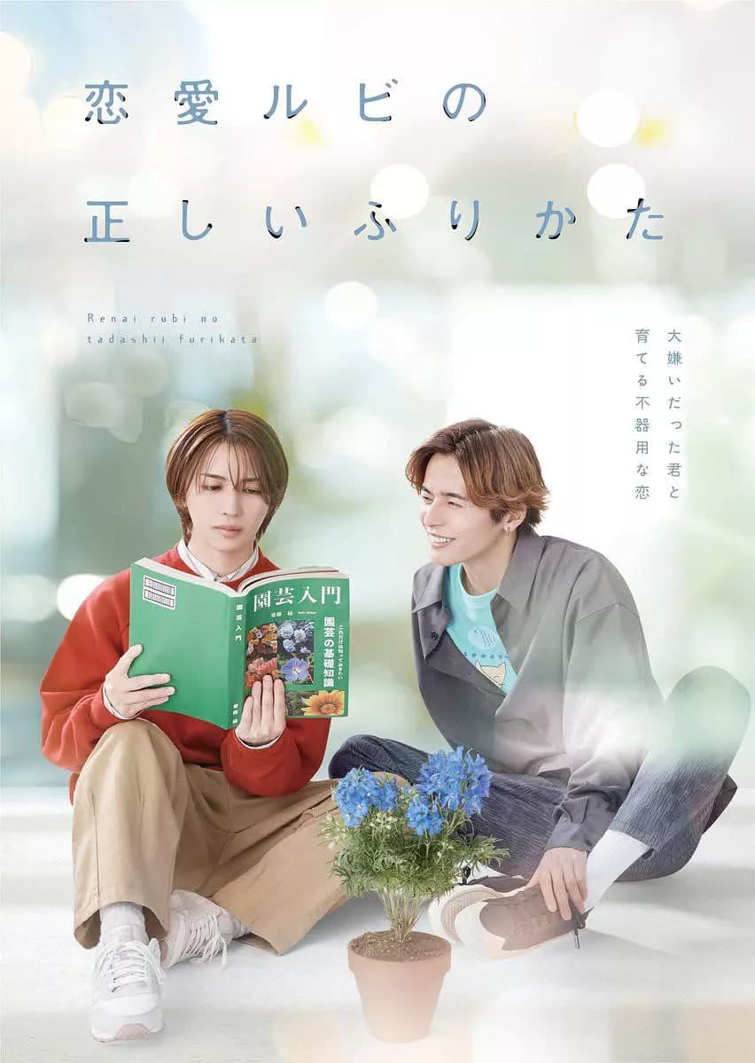 恋爱的正确标记法海报