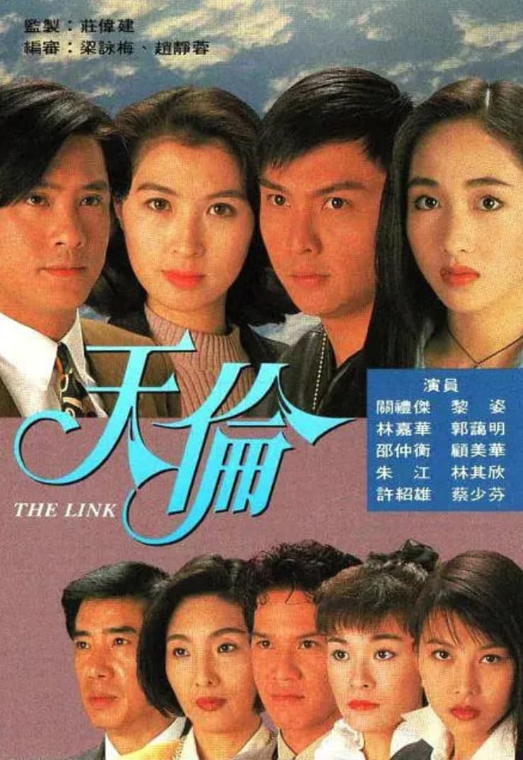 天伦 1993海报