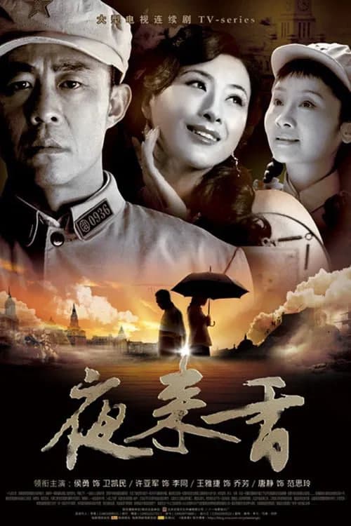 夜来香 2009海报