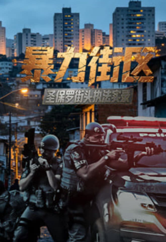 暴力街区：圣保罗街头执法实录海报