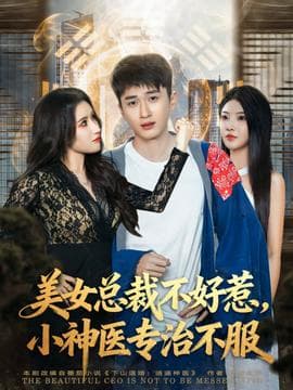 美女总裁不好惹，小神医专治不服海报