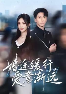 婚途缓行，爱意渐远海报