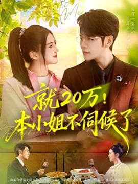 就20万！本小姐不伺候了海报