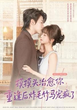 摸摸头，治愈你，重逢后炸毛竹马宠疯了海报