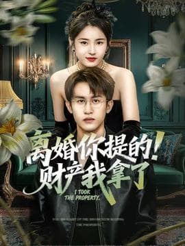 离婚你提的！财产我拿了海报