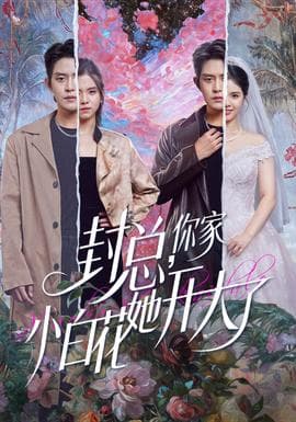 封总，你家小白花她开大了海报