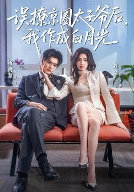 误撩京圈太子爷后，我作成白月光海报