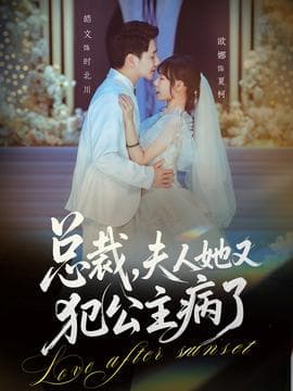 总裁，夫人她又犯公主病了海报