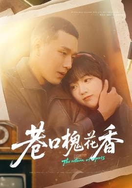 巷口槐花香海报