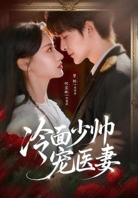冷面少帅宠医妻海报