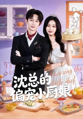 沈总的偏宠小厨娘海报