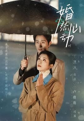 婚然心动时海报