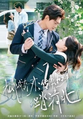 枫城奇才：传承加身踏清北海报