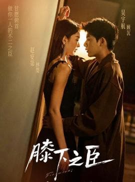 膝下之臣海报