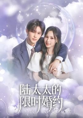 陆太太的限时婚约海报