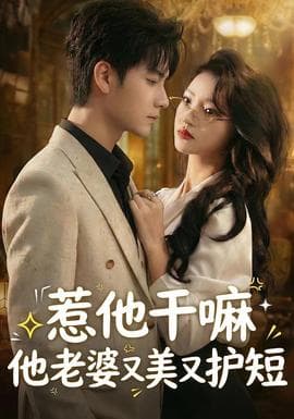 惹他干嘛他老婆又美又护短海报