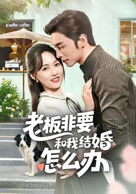 老板非要和我结婚怎么办海报