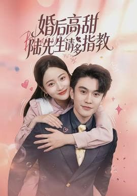 婚后高甜：陆先生请多指教海报