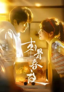 刺骨春夜海报