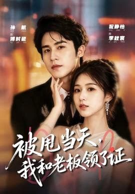 被甩当天，我和老板领了证海报