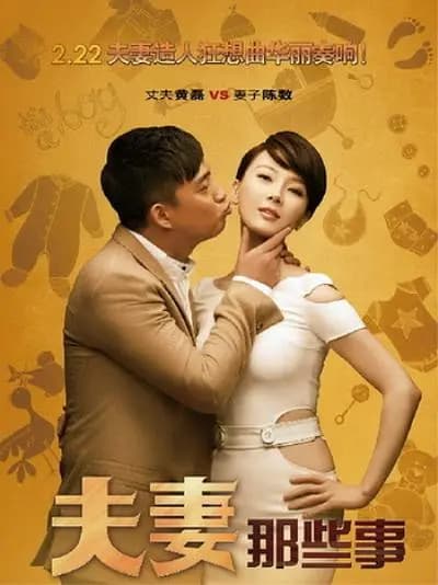 夫妻那些事海报