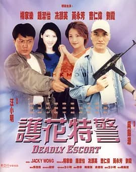护花特警海报