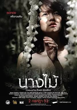 少女2009海报