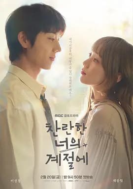 在你灿烂的季节海报