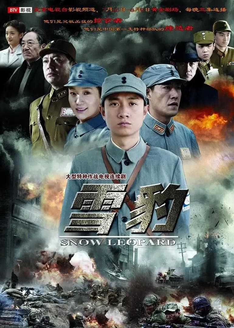 雪豹2010海报