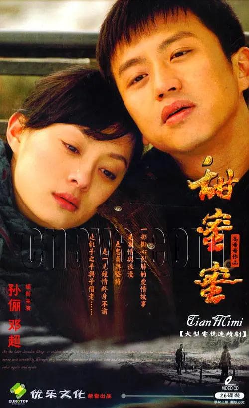 甜蜜蜜2007海报