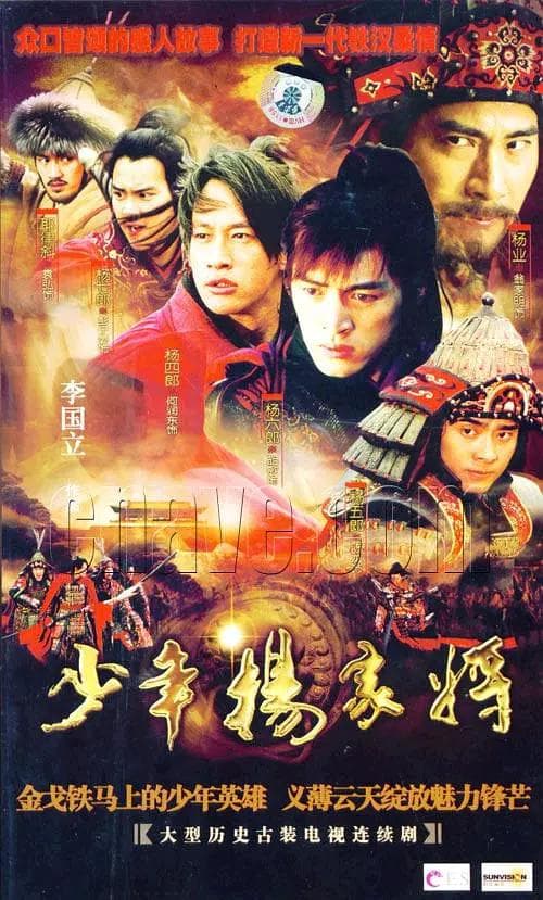 少年杨家将海报