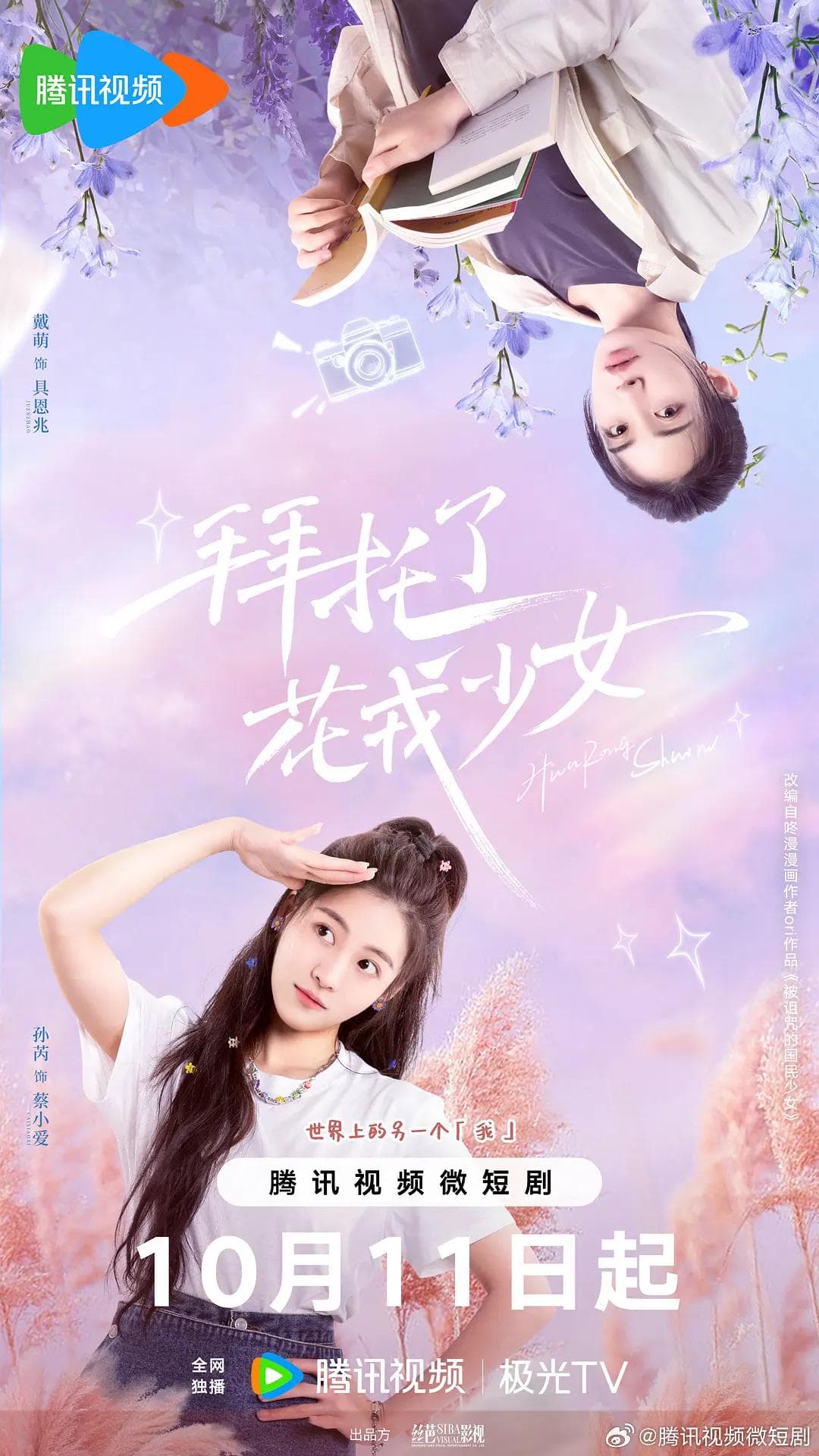拜托了，花戎少女海报