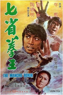 七省拳王海报