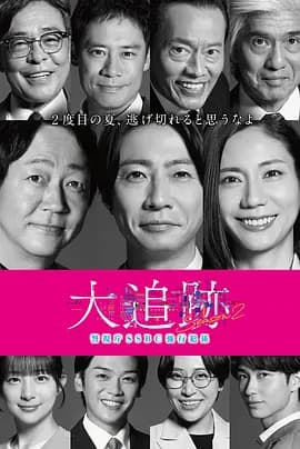 大追踪警视厅SSBC强行犯系第二季海报