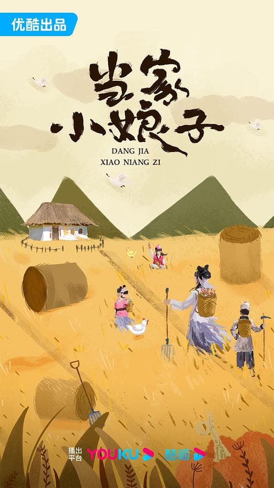 当家小娘子海报