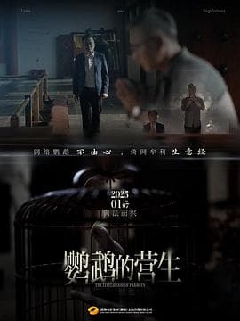 鹦鹉的营生海报