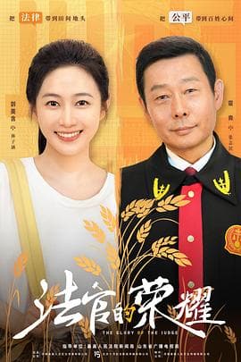 法官的荣耀海报