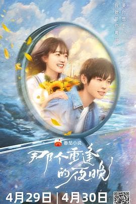 那个重逢的夜晚海报