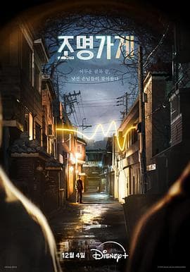照明商店2024海报
