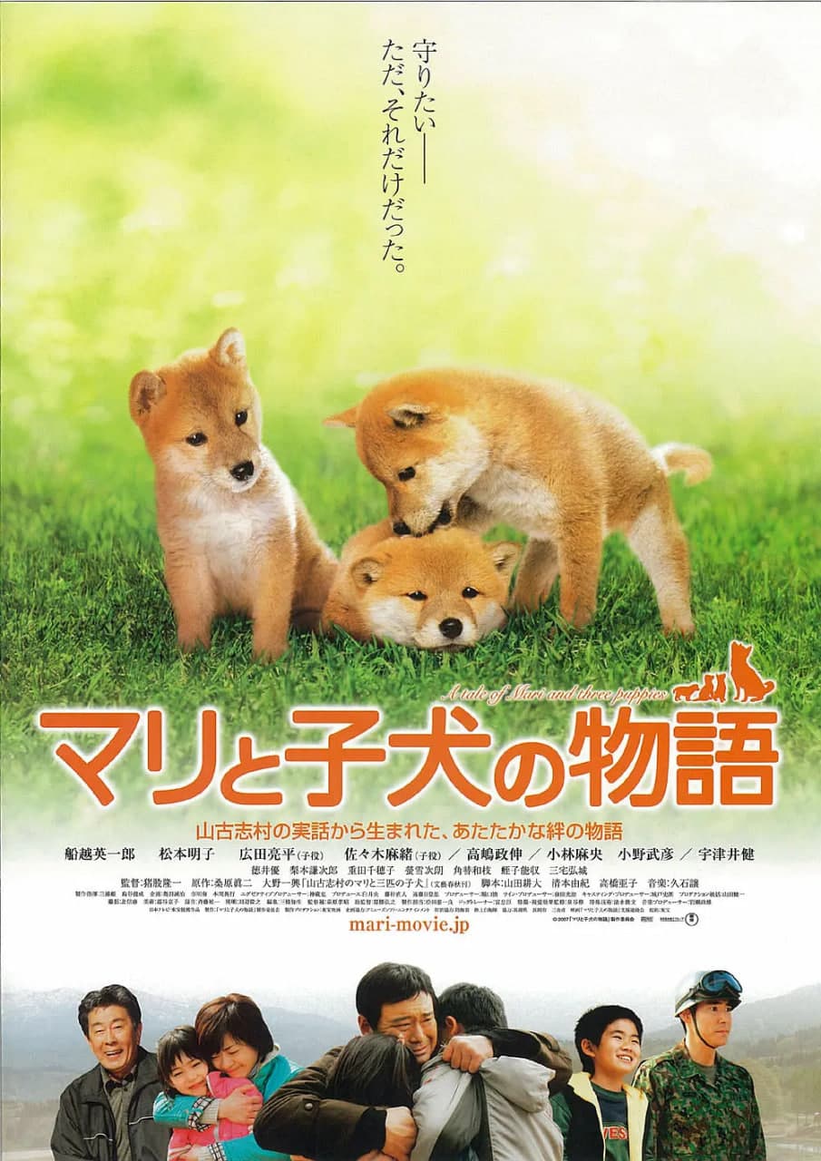 爱犬的奇迹海报