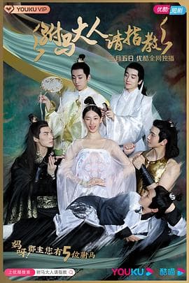 驸马大人请指教海报