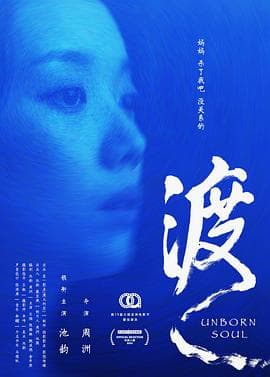 渡2024海报